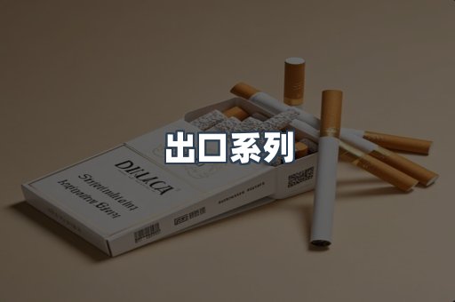 出口系列